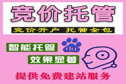 精准营销的秘诀：sem优化托管的案例研究